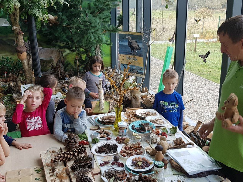 Wycieczka do Zalesia