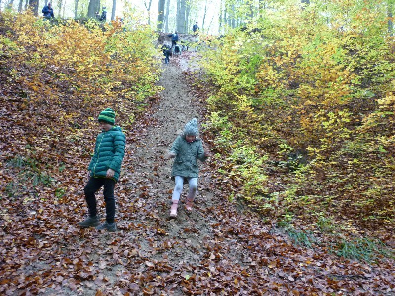 983 Leśna Sobota po Puszczy Bukowej